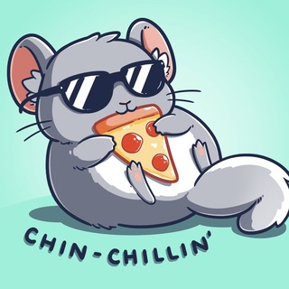 Chinchillas
