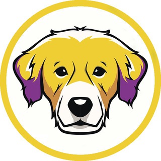 DogePlay
