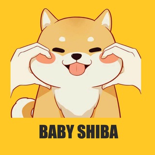 BABYSHIBA