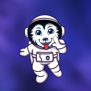 SpaceHusky