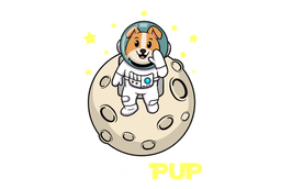 STARPUP