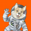 SpaceCorgi