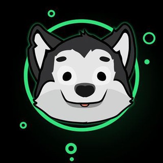 Aidi Inu